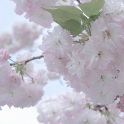 Furry绘画技巧合集兽圈群